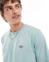 Фото #3 товара Dickies short sleeved mapleton t-shirt in light blue