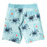 Фото #3 товара BILLABONG Sundays Og Swimming Shorts