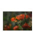 Фото #1 товара Gilbert Claes Pops Floral Romance Canvas Art - 20" x 25"