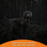 Фото #2 товара GPS -Tracker fr Hunde - Weenect XS (Black Edition 2023)