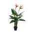 Фото #1 товара Декоративное растение Mica Decorations (60 x 110 cm)