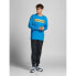 JACK & JONES You Long Sleeve Crew Neck T-Shirt