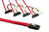 Фото #1 товара DINIC SAS Kabel intern SFF-8087 auf SFF-8482 - 0.75m Mini 36pin 4x Data/Power - Cable - Digital