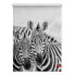 Фото #1 товара Римские шторы LICHTBLICK Zebra Klemmfix-rollo