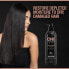 Фото #3 товара CHI Luxury Black Seed Oil Moisture Replenish Conditioner 25 Fl Oz