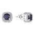 Фото #1 товара Dazzling silver earrings with sapphire E-FS-5658S