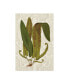 Фото #1 товара Vision Studio Garden Ferns I Canvas Art - 37" x 49"