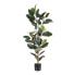 Фото #1 товара Декоративное растение PVC Железо фикус 49 x 45 x 125 cm