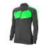 Фото #1 товара Sweatshirt Nike Dry Academy Pro W BV6932-061