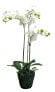 Фото #1 товара Искусственные цветы Flowforia Orchidee getopft