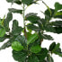 Декоративное растение Полиуретан Цемент фикус 175 cm