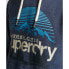 SUPERDRY Code Logo Great Outdoors Graphic hoodie