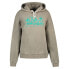 Фото #1 товара REPLAY W3045.000.23316E Hoodie