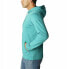 Фото #3 товара COLUMBIA CSC Basic Logo hoodie