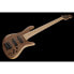 Fodera Emperor Elite 5 Walnut 33"