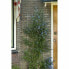 Фото #2 товара Сепаратор садовый Nature 42,5 x 145 см Серый