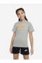 Фото #1 товара Футболка спортивная Nike Core Brandmark Серая DX9524-063