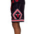 Брюки Mitchell Ness Big Face SHORBW19069-CBUBLCK97