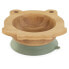 MINILAND Frog Bowl Tableware