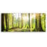 Фото #2 товара KUNSTDRUCK Green Forest Sunlight 3