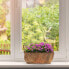 Фото #7 товара Blumenkasten Balkon 3er Set