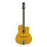 Фото #1 товара Richwood RM-70-NT Hot Club Jazz Guitar