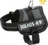 Trixie Julius-K9® Powerharness® szelki, dla psa, antracyt, Baby 1/XS: 30–40 cm/18 mm