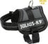 Фото #1 товара Trixie Julius-K9® Powerharness® szelki, dla psa, antracyt, Baby 1/XS: 30–40 cm/18 mm