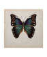 Фото #1 товара Melissa Wang Butterfly Study III Canvas Art - 27" x 33"