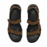 Mountain sandals Timberland Winsor Trail Brown