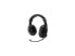 Фото #1 товара Adesso Headset,Mltimdia W/Mic,Bk XTREAMH5