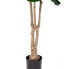 Фото #3 товара Искусственное декоративное растение фикус из полиуретана и цемента BB Home 175 см