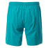 Фото #2 товара AQUAWAVE Aguario Shorts