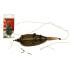 Фото #1 товара CARP EXPERT Method Bait Sting feeder 7 cm