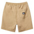 Фото #4 товара QUIKSILVER AQBWS03077 Taxer Shorts