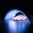 Фото #10 товара Лампа для сушки ногтей InnovaGoods Professional LED UV