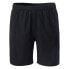 AQUAWAVE Aguario Shorts