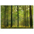 Фото #1 товара Wandbild Autumn Forest