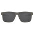 OAKLEY Holbrook Metallic Prizm Polarized Sunglasses
