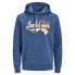Фото #1 товара JACK & JONES Logo 2 Plus Size hoodie