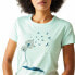 ფოტო #6 პროდუქტის REGATTA Fingal Slogan short sleeve T-shirt