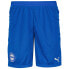 Фото #1 товара PUMA D.Alaves Team Final 2 sweat shorts