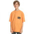 ფოტო #2 პროდუქტის QUIKSILVER Back Flash short sleeve T-shirt