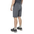 TRESPASS Runnel Shorts