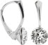 Фото #1 товара Charming silver Xirius Crystal earrings