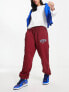 Фото #4 товара Nike Unisex Varsity phoenix fleece joggers in team red