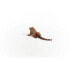 Фото #6 товара Фигурка Schleich Iguana 14854 Wild Life (Дикая природа)