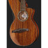 Timberline Guitars T70HGpc-e Harp Guitar