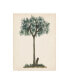 Фото #1 товара Melissa Wang Palm Tree Study III Canvas Art - 27" x 33.5"