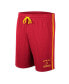 ფოტო #3 პროდუქტის Men's Cardinal USC Trojans Thunder Slub Shorts